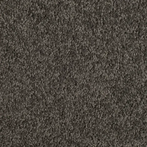 Pewter carpet swatch
